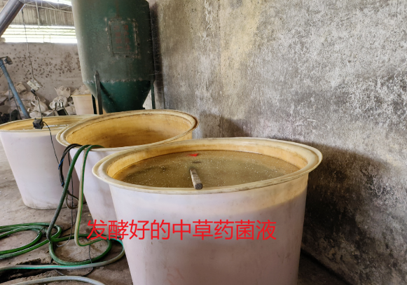 QQ圖片20250305125016.png QQ圖片20250305125016.png