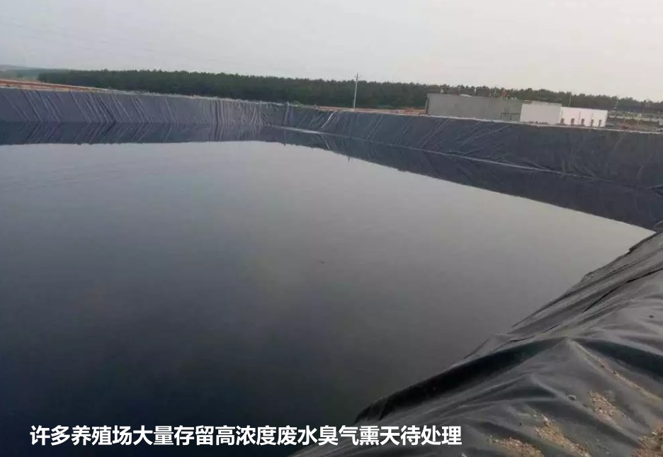 污水1.jpg 污水1.jpg