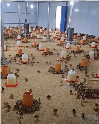 1741309408980.jpg 1741309408980.jpg