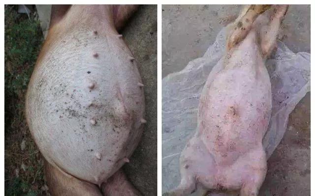 微信圖片_20250307102055.jpg 微信圖片_20250307102055.jpg