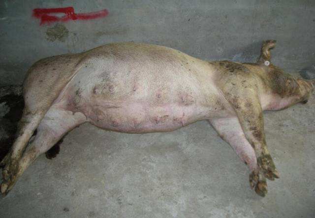 微信圖片_20250307102051.jpg 微信圖片_20250307102051.jpg