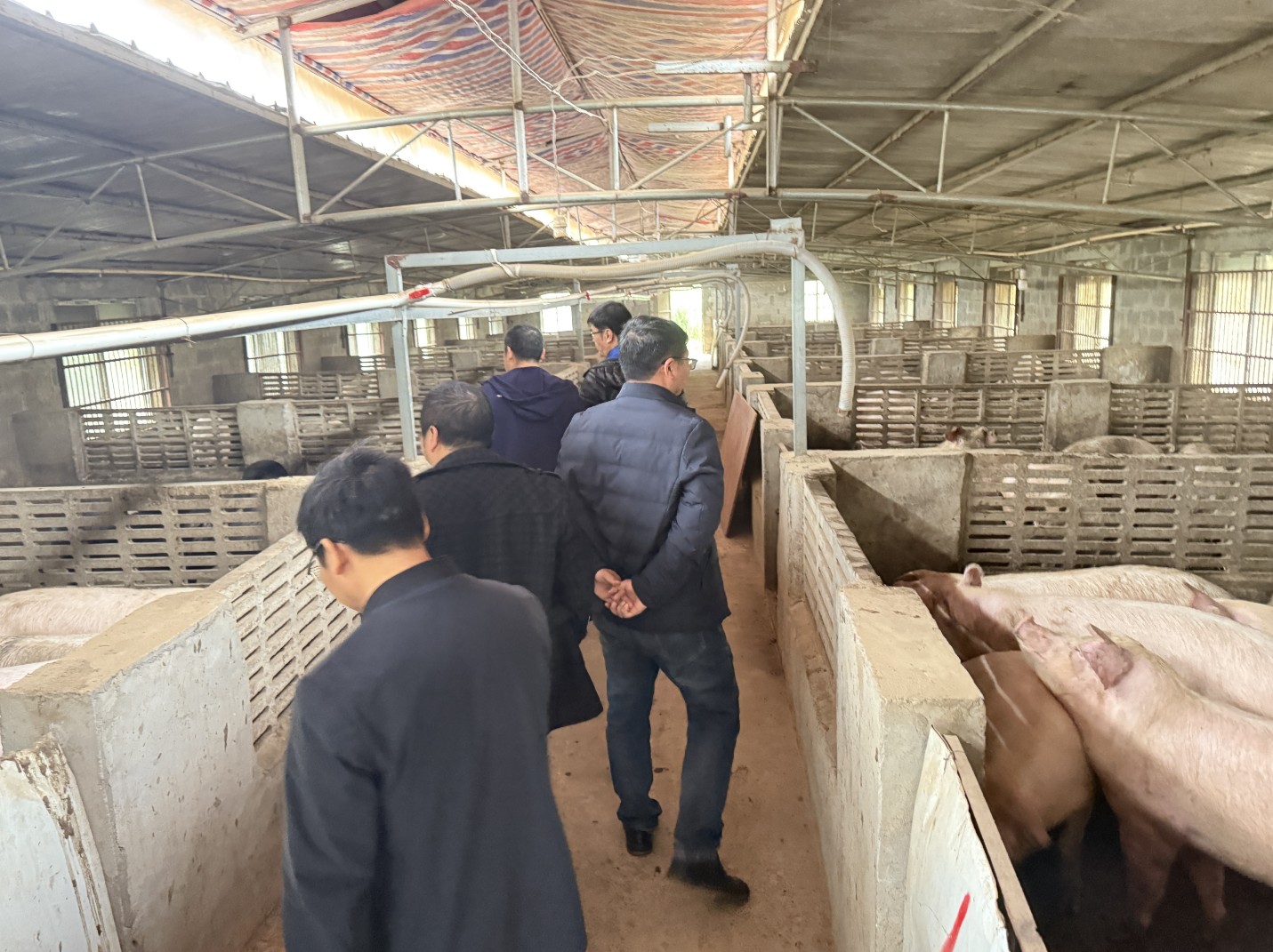 金陵農牧集團前來調研6.jpg