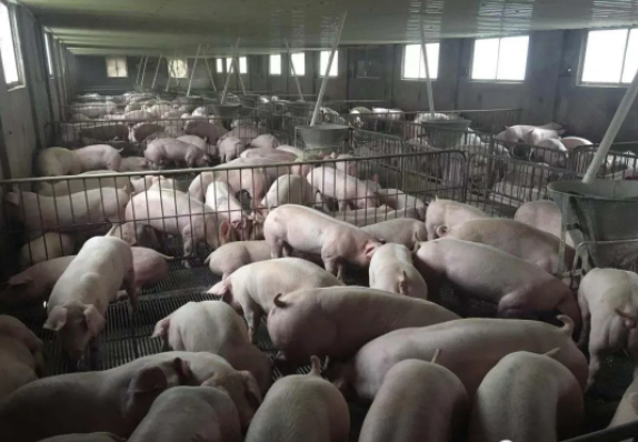 QQ圖片20250312135931.png QQ圖片20250312135931.png