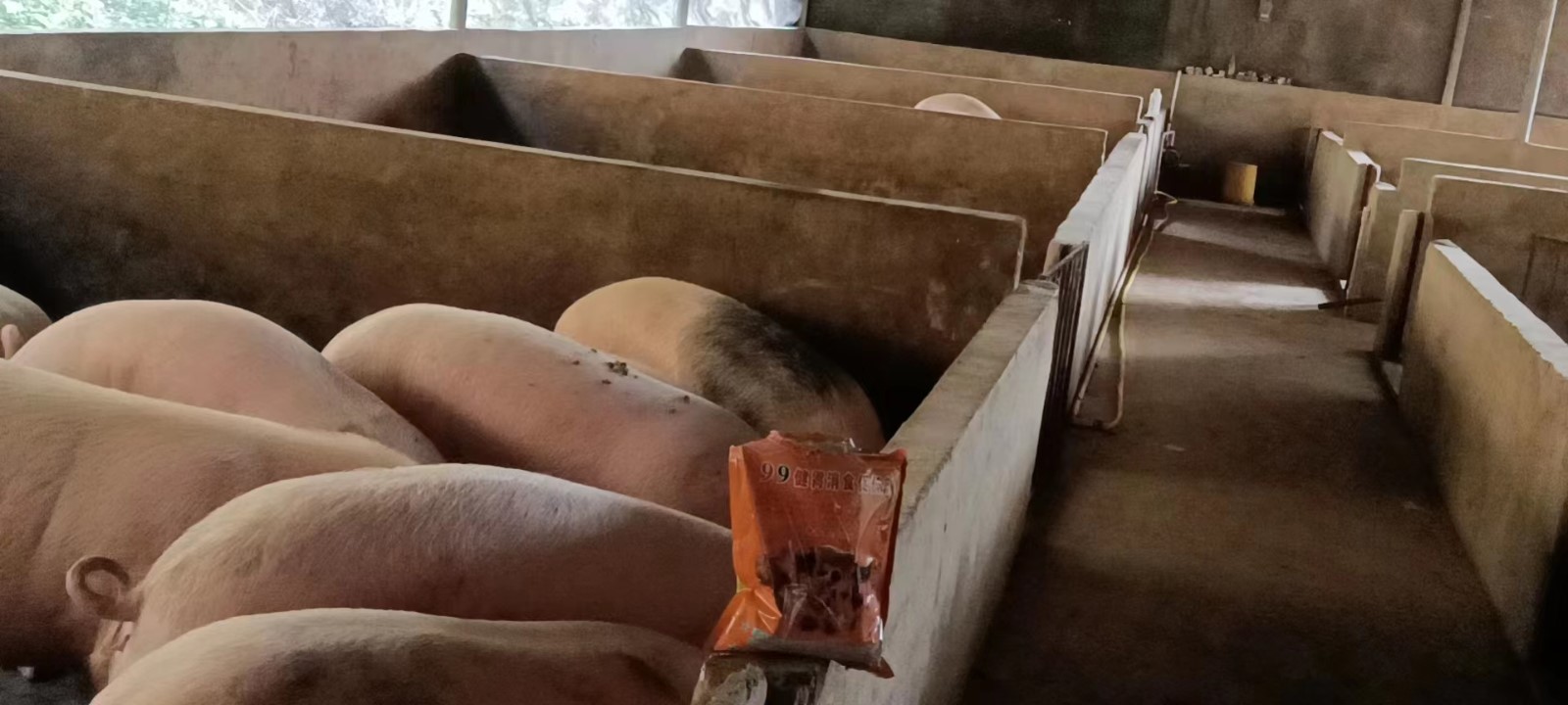 1684810495291239.jpg 1684810495291239.jpg