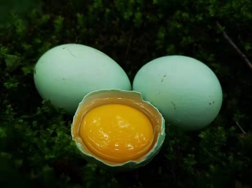 微信圖片_20230710151200.jpg 微信圖片_20230710151200.jpg