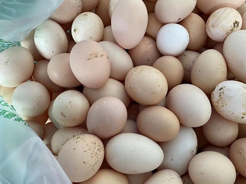 微信圖片_20240222112519.jpg 微信圖片_20240222112519.jpg