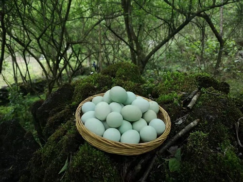 微信圖片_20230710151146.jpg 微信圖片_20230710151146.jpg