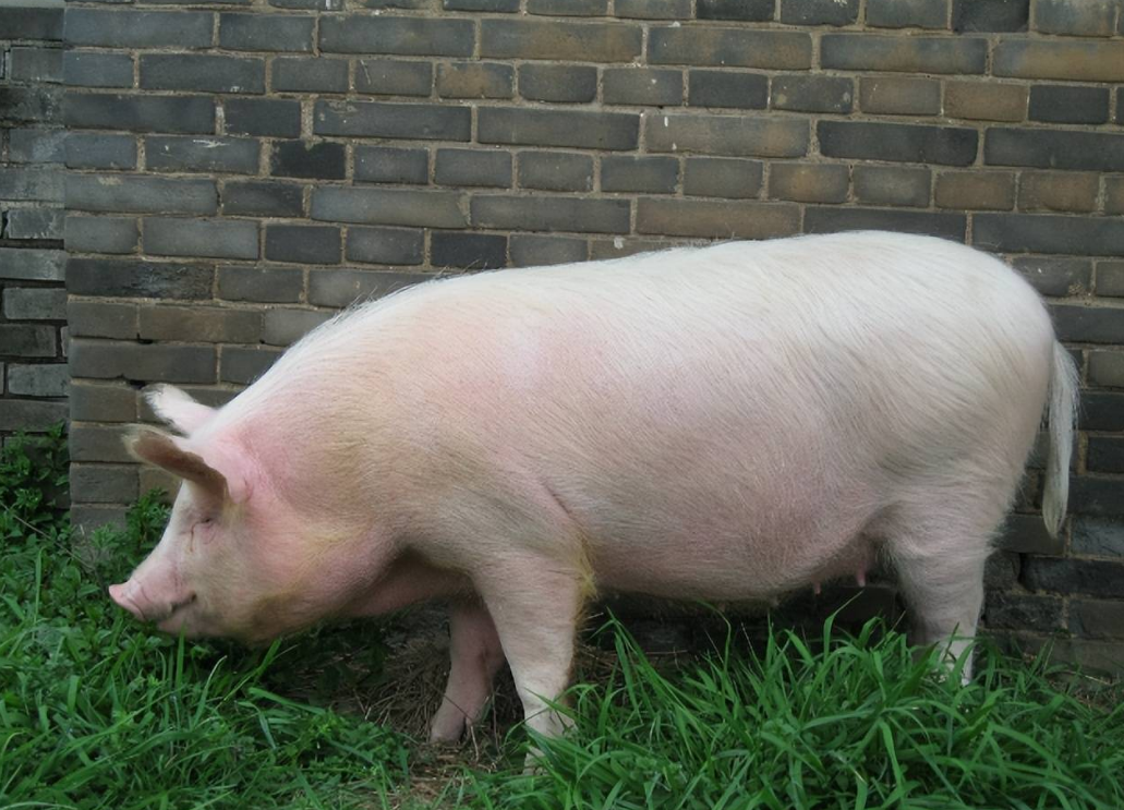 截圖20250314105247.png 截圖20250314105247.png