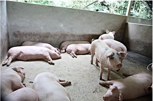 1742262285979.jpg 1742262285979.jpg