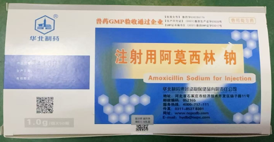 1742262846524.jpg 1742262846524.jpg