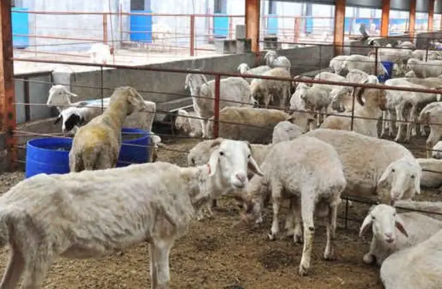 QQ圖片20250318095932.png QQ圖片20250318095932.png