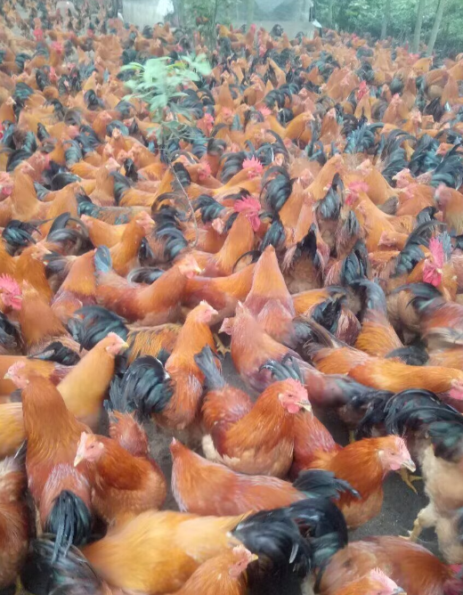 QQ圖片20250318111730.png QQ圖片20250318111730.png