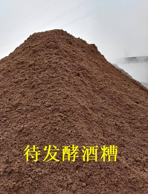 酒糟3.jpeg