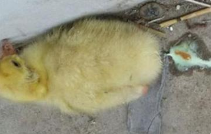 QQ圖片20250324092304.png QQ圖片20250324092304.png