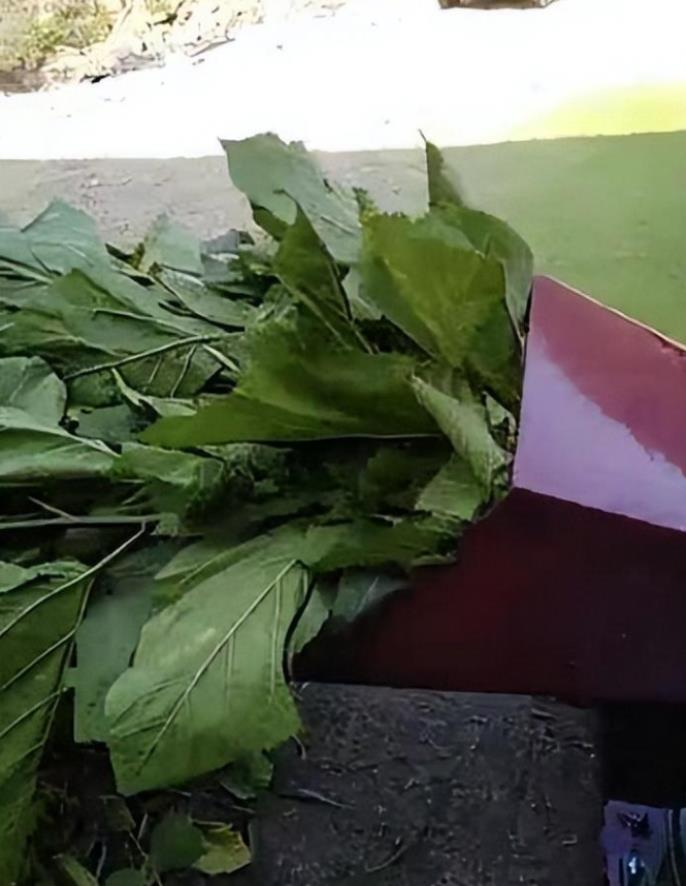 QQ圖片20250325095822.png QQ圖片20250325095822.png