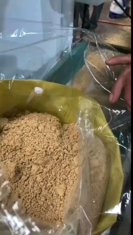 微信圖片_20250325100549.jpg 微信圖片_20250325100549.jpg