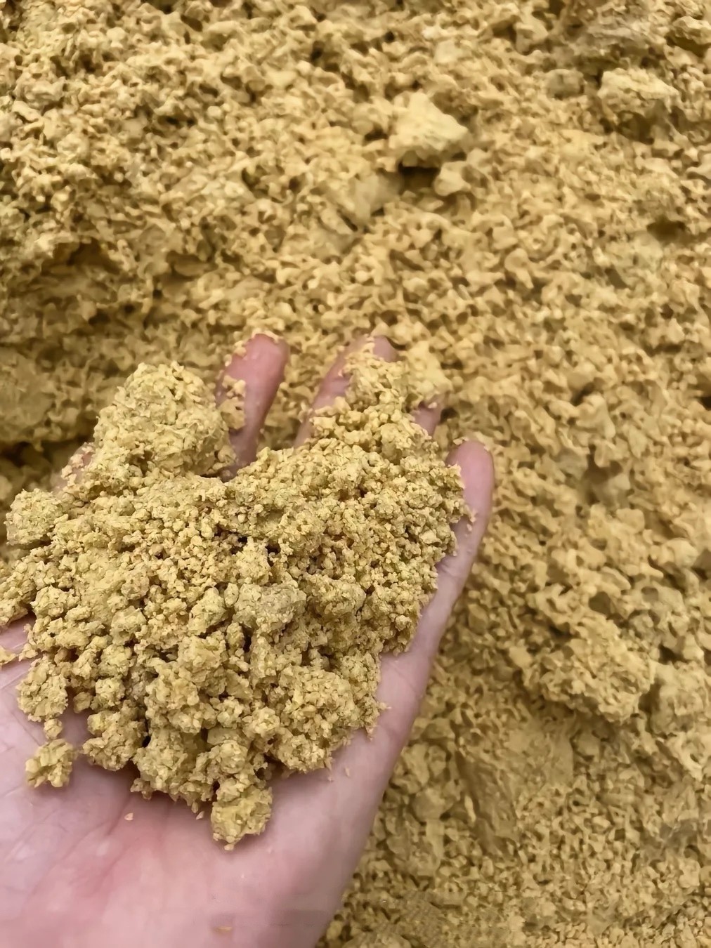 微信圖片_20250325100525.jpg 微信圖片_20250325100525.jpg