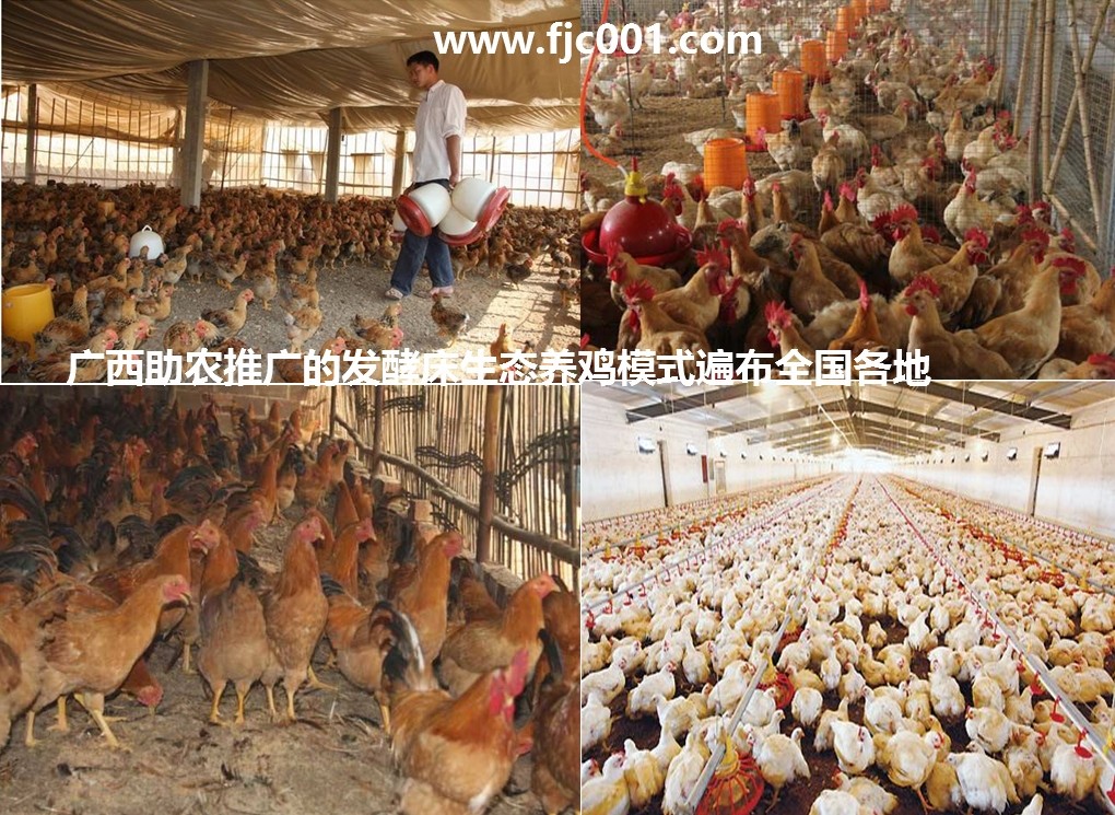 1498824870915458.jpg 1498824870915458.jpg