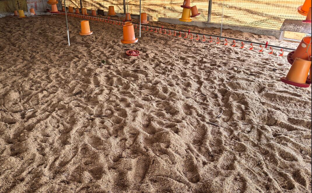 QQ圖片20250226124533.jpg QQ圖片20250226124533.jpg