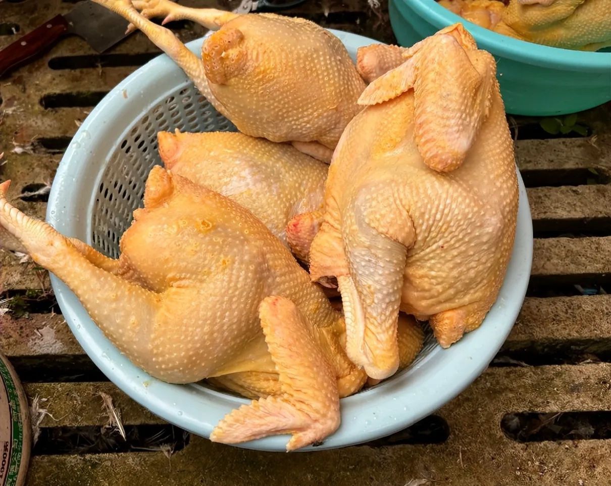 QQ圖片20250311125407.jpg QQ圖片20250311125407.jpg