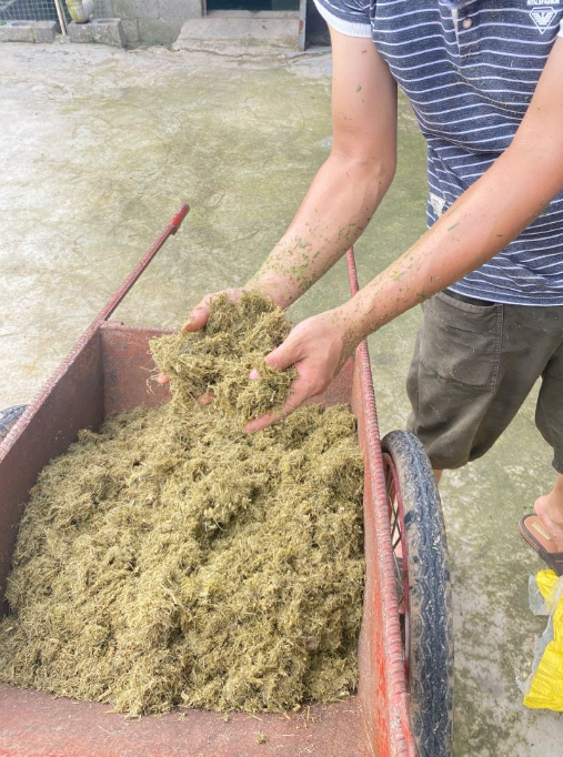 17262912425288892.png 17262912425288892.png