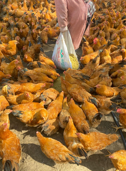 QQ圖片20250402112444.png QQ圖片20250402112444.png