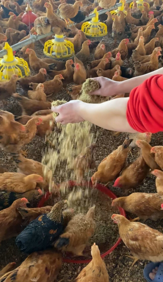 QQ圖片20250402125645.png QQ圖片20250402125645.png