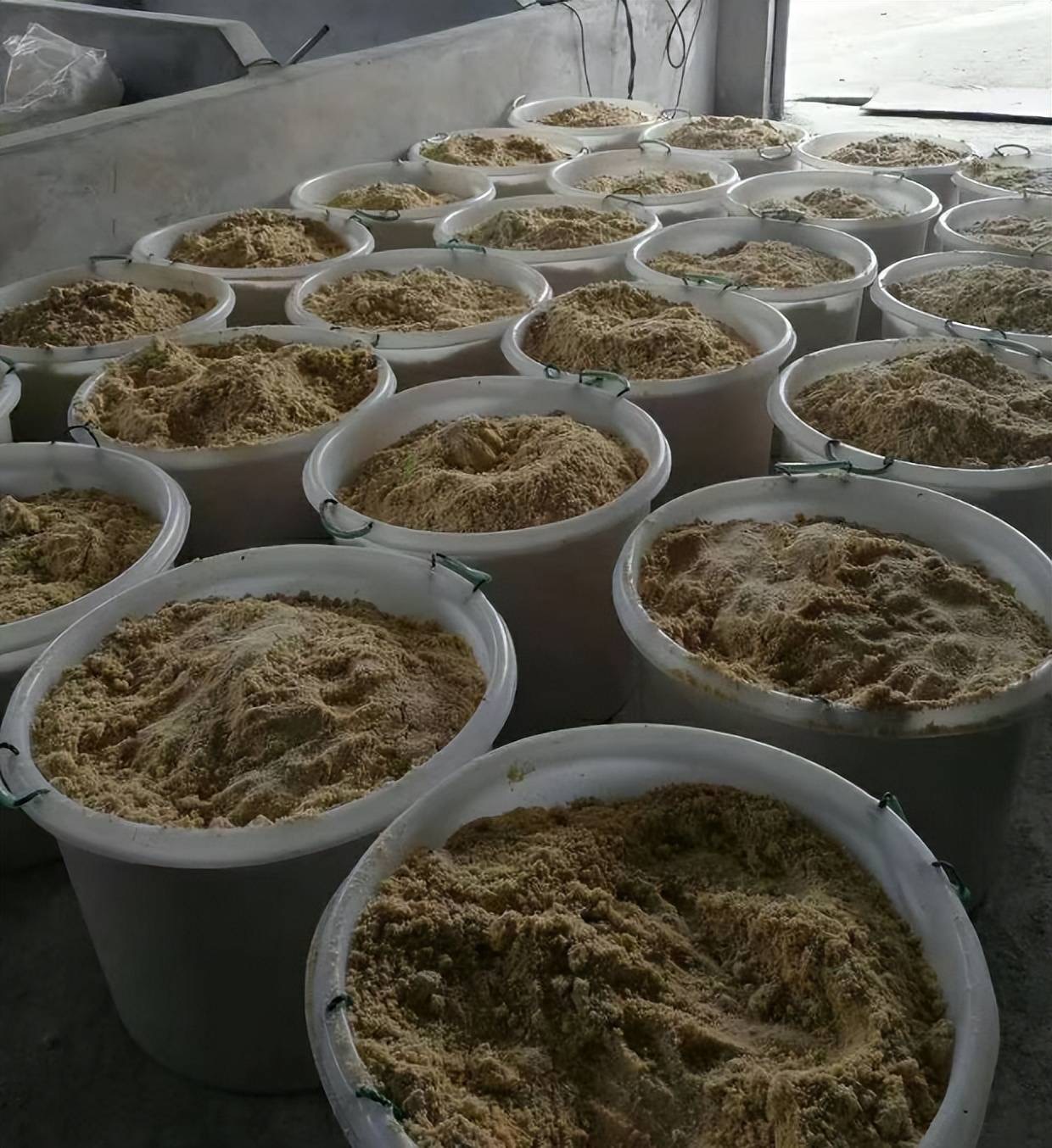 微信圖片_20250402150035.jpg 微信圖片_20250402150035.jpg