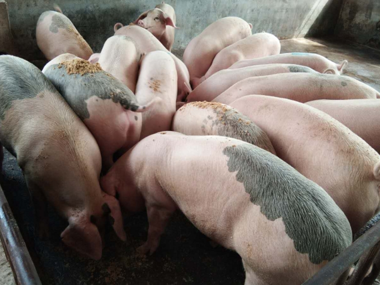 微信截圖_20250402112816.jpg 微信截圖_20250402112816.jpg