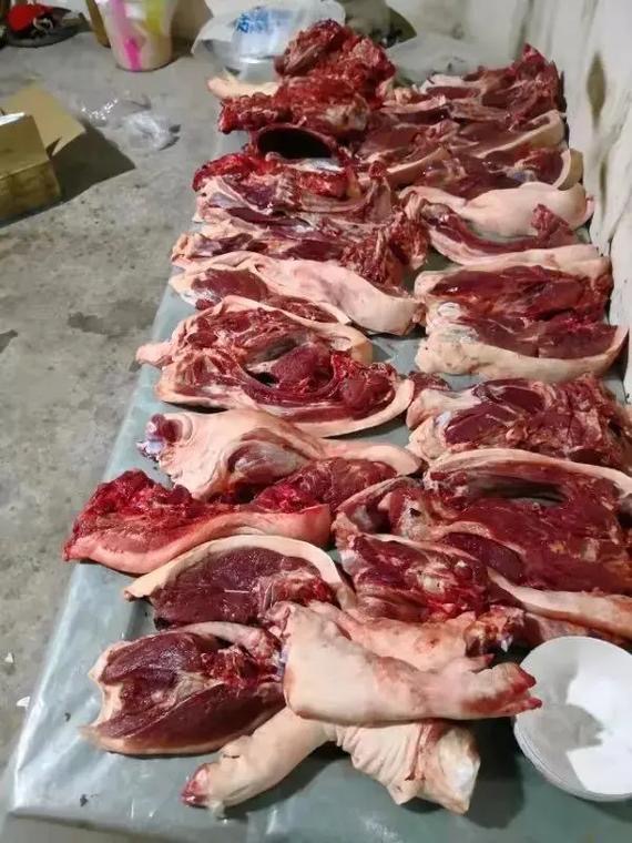 微信圖片_20250402150144.jpg 微信圖片_20250402150144.jpg