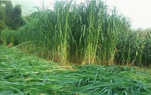 QQ圖片20250407161809.png QQ圖片20250407161809.png