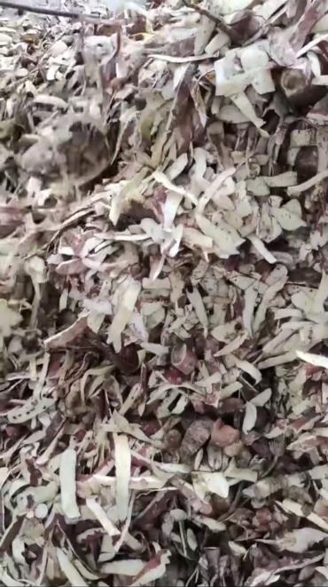 QQ圖片20250411102418.png QQ圖片20250411102418.png