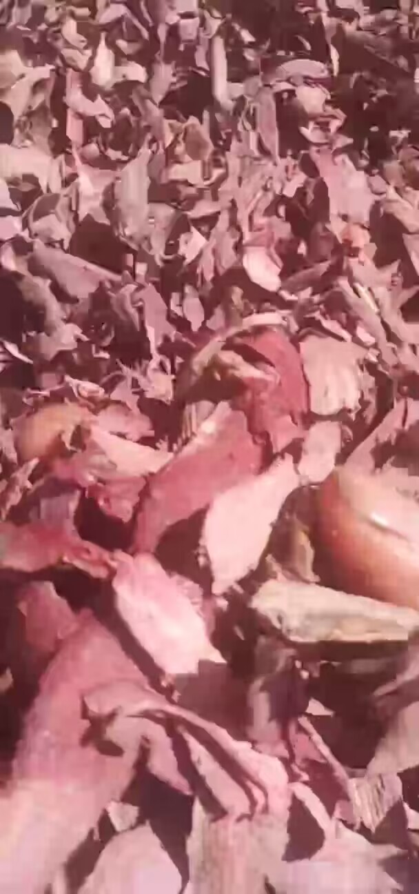 QQ圖片20230609122527.jpg QQ圖片20230609122527.jpg