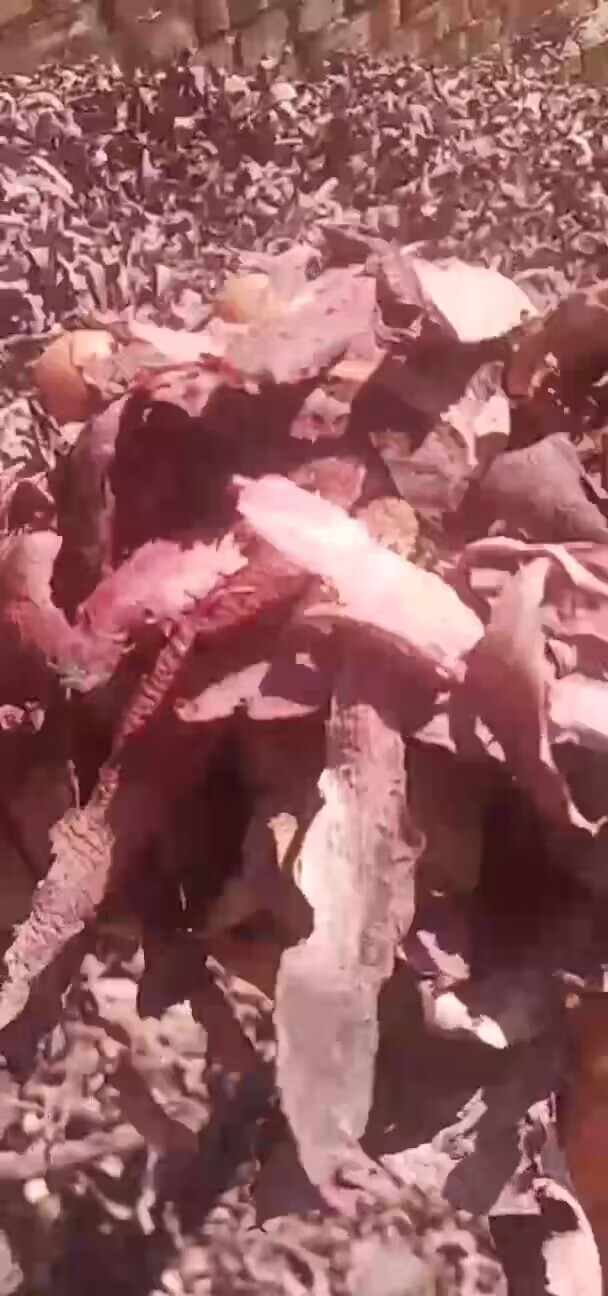 QQ圖片20230609122521.jpg QQ圖片20230609122521.jpg