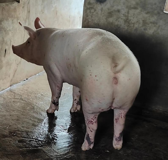 截圖20250414092940.png 截圖20250414092940.png