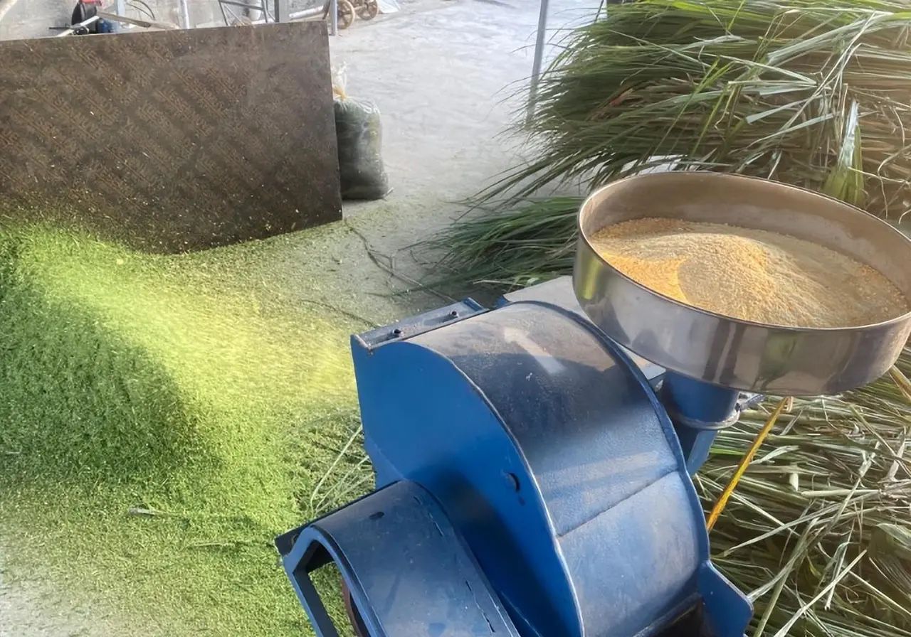 QQ圖片20250227150117.jpg QQ圖片20250227150117.jpg