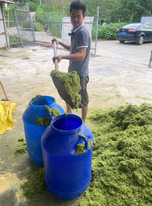 17262911978076262.png 17262911978076262.png