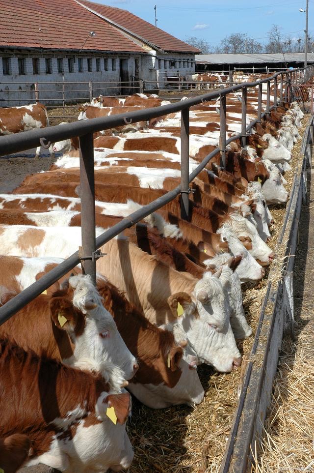 微信圖片_20250421151119.jpg 微信圖片_20250421151119.jpg