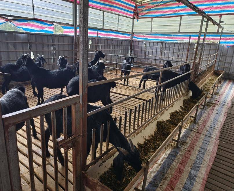 微信圖片_20250421151116.jpg 微信圖片_20250421151116.jpg