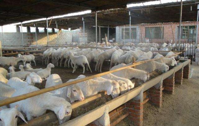 微信圖片_20250421151109.jpg 微信圖片_20250421151109.jpg