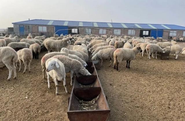 微信圖片_20250421151113.jpg 微信圖片_20250421151113.jpg