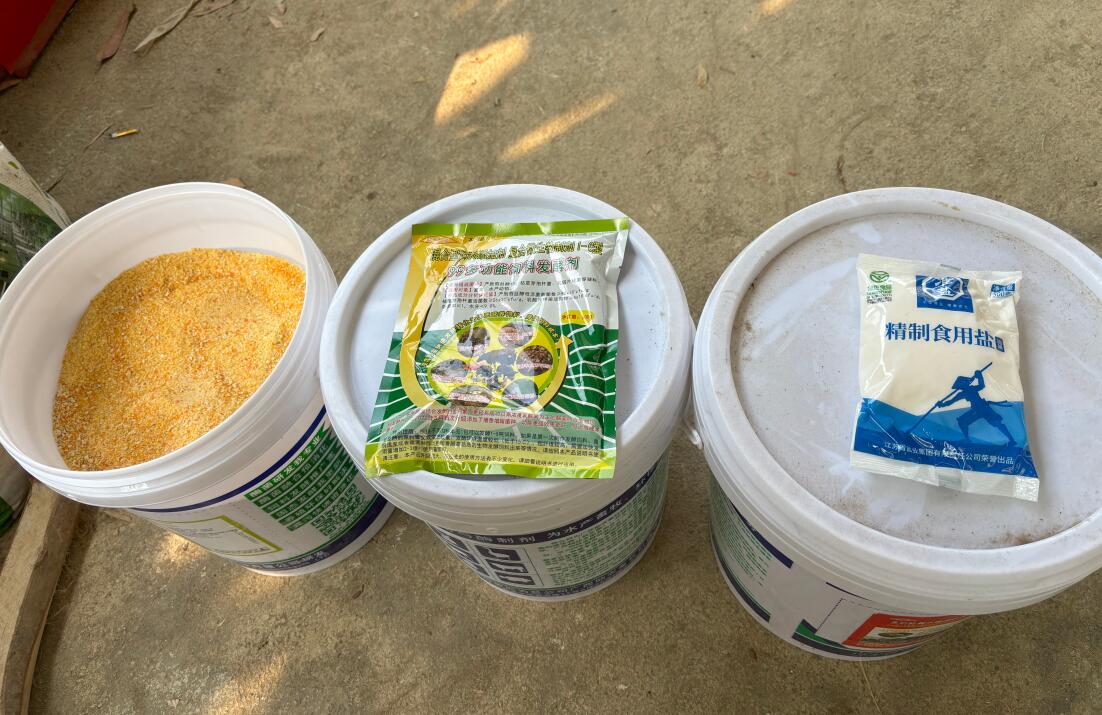 QQ圖片20250409150605.jpg QQ圖片20250409150605.jpg