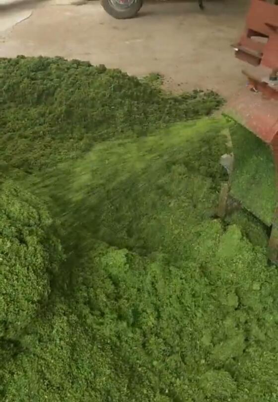 QQ圖片20250508122926.jpg QQ圖片20250508122926.jpg