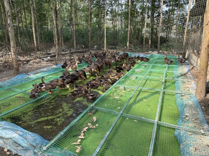 微信截圖_20250509220711.jpg 微信截圖_20250509220711.jpg