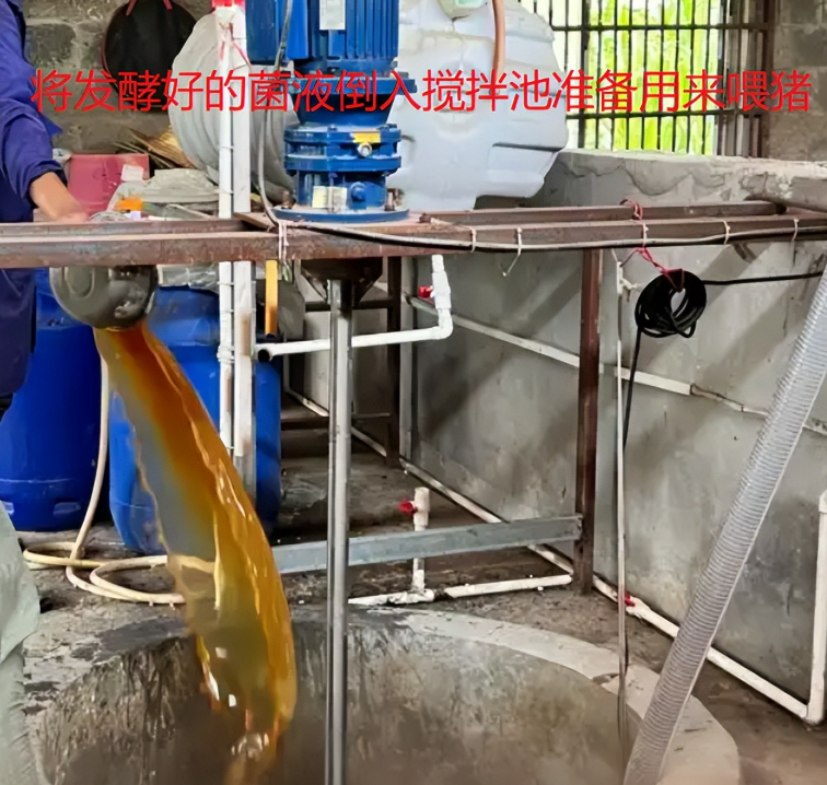 17421962018461058 (1).png 17421962018461058 (1).png