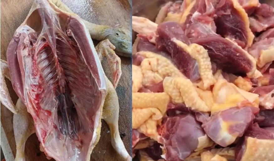 微信截圖_20250516090829.jpg 微信截圖_20250516090829.jpg