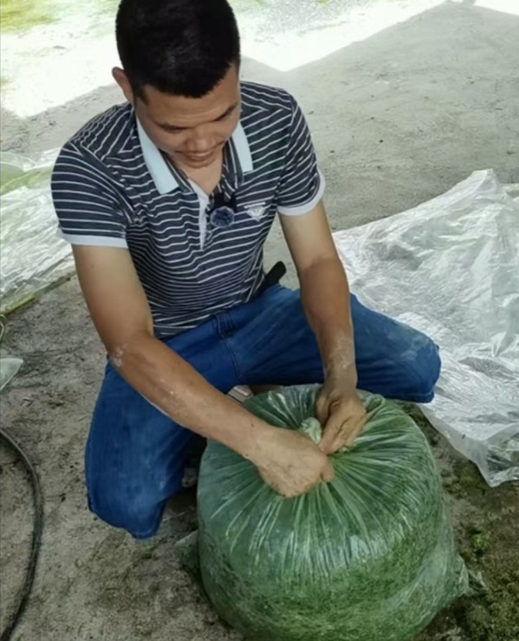 微信截圖_20250516093508.jpg 微信截圖_20250516093508.jpg