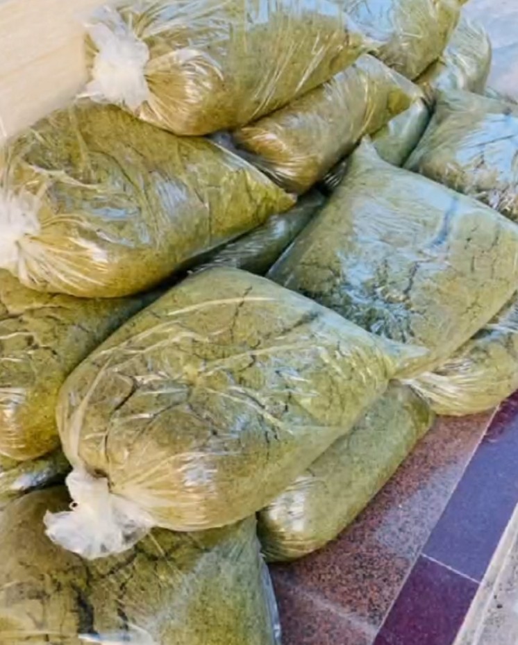 微信截圖_20250516093522.jpg 微信截圖_20250516093522.jpg