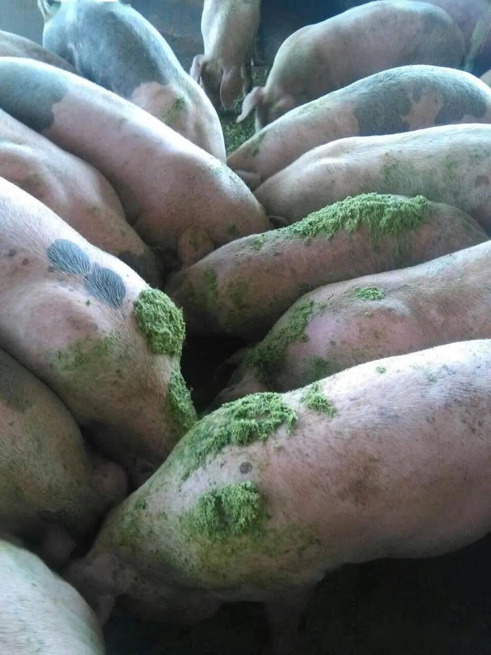 QQ圖片20250521152119.jpg QQ圖片20250521152119.jpg