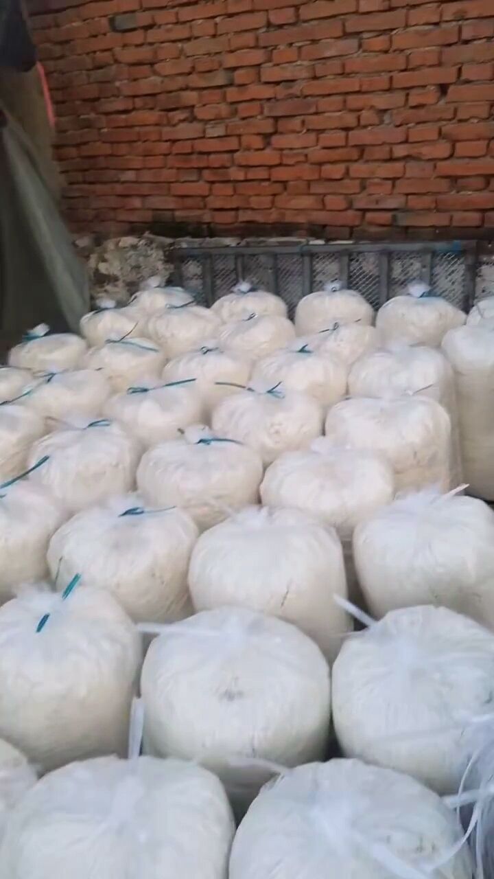 QQ圖片20230812111821.jpg QQ圖片20230812111821.jpg